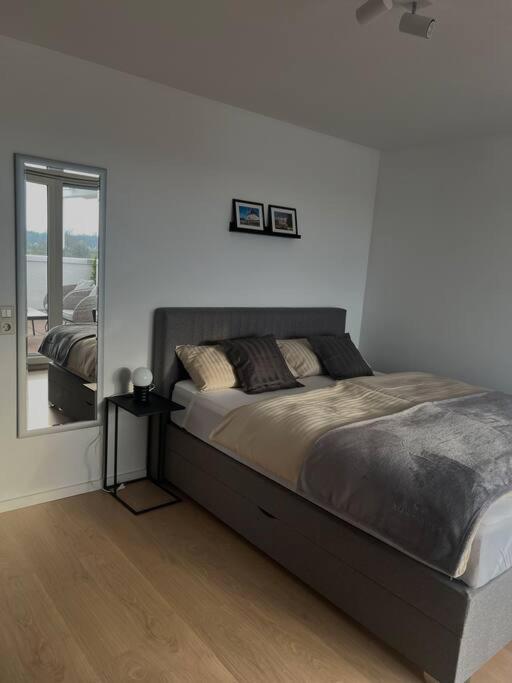 Penthouse Apartment In Kehl Luaran gambar